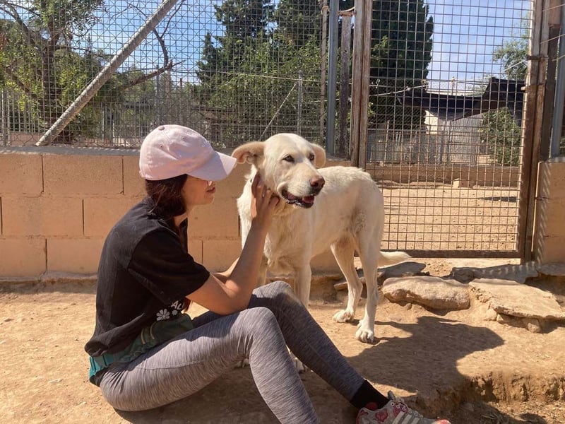 MOON-sanftes,gutmütiges Schmusemädchen mit großem Herzen sucht sehnsüchtig liebe "Für-immer-Familie"