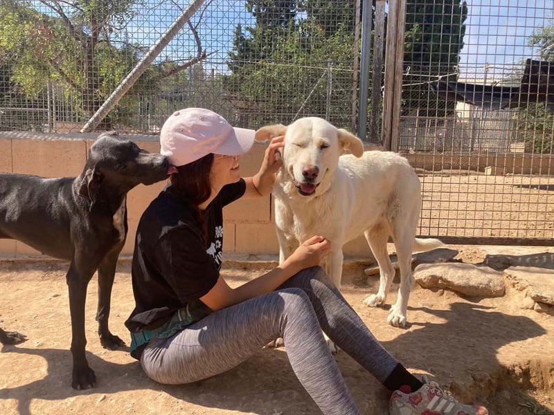 MOON-sanftes,gutmütiges Schmusemädchen mit großem Herzen sucht sehnsüchtig liebe "Für-immer-Familie"