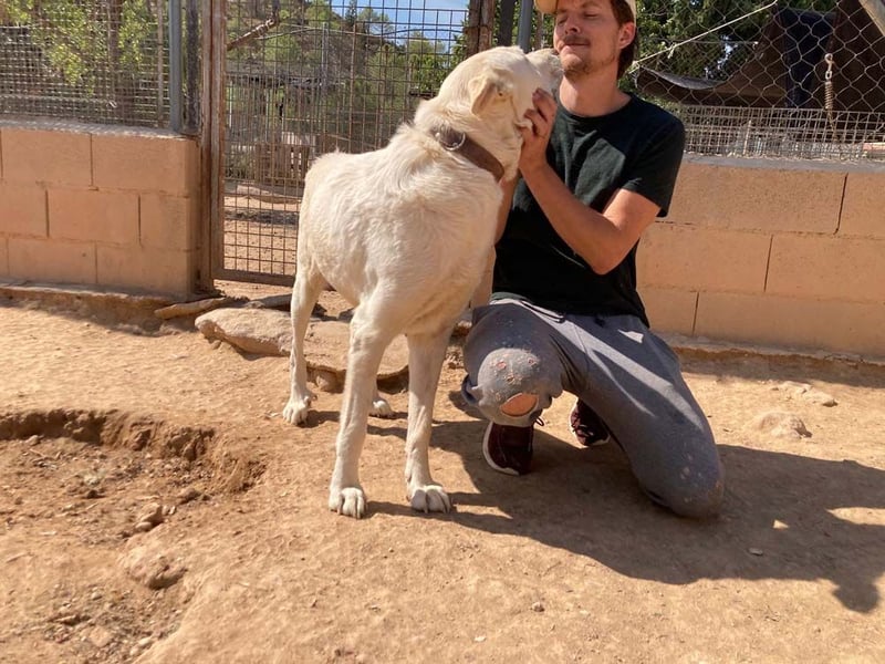 MOON-sanftes,gutmütiges Schmusemädchen mit großem Herzen sucht sehnsüchtig liebe "Für-immer-Familie"