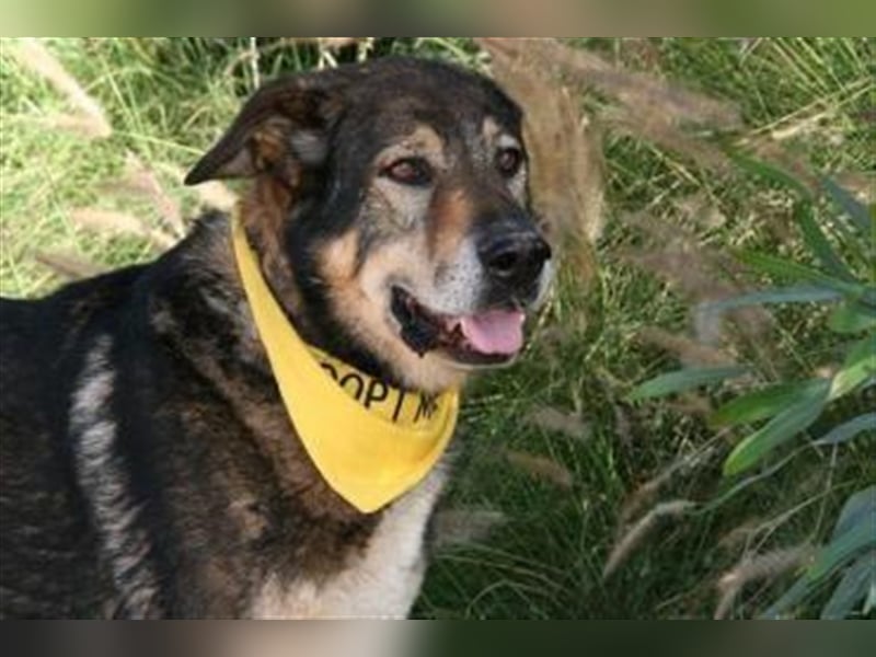 Ray (Spanien) - sucht Zuhause auf dem Land