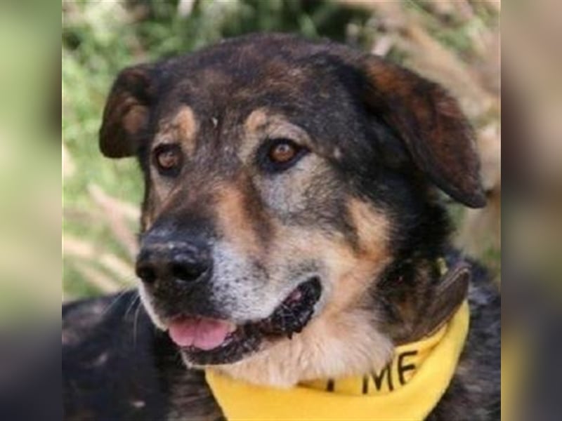 Ray (Spanien) - sucht Zuhause auf dem Land