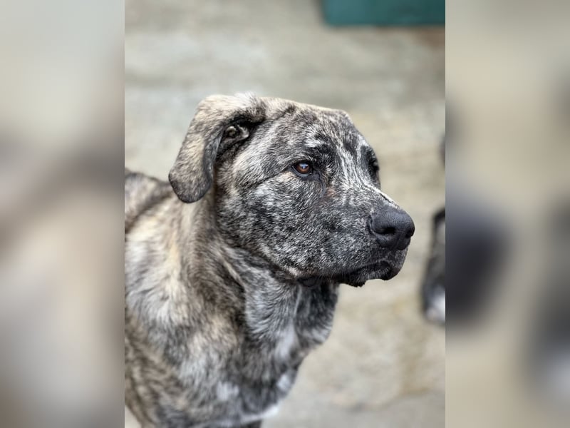 Chanel - das zarte Blümchen