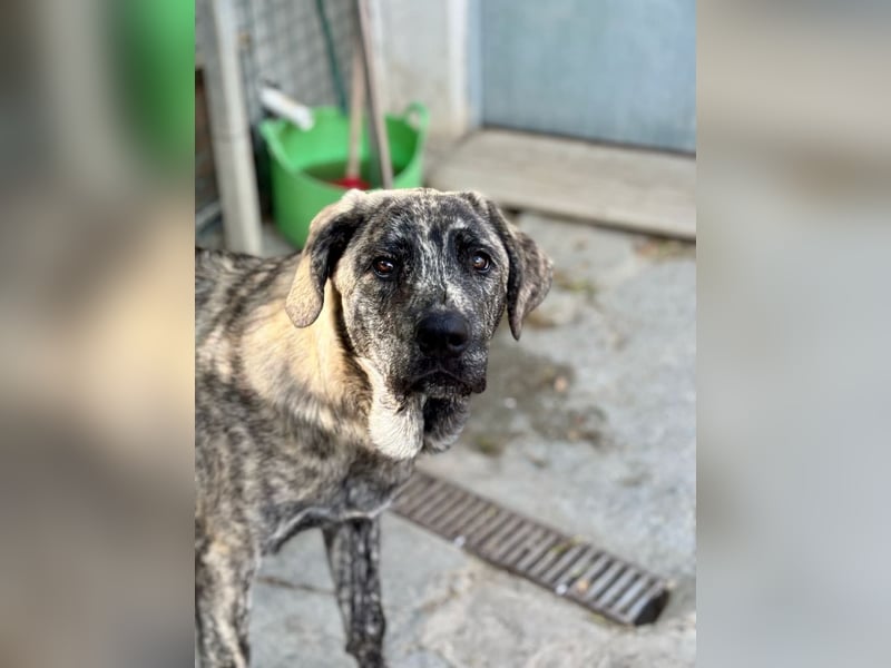 Chanel - das zarte Blümchen