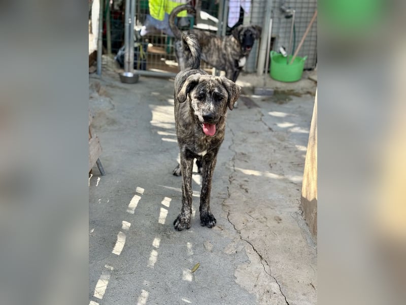 Chanel - das zarte Blümchen