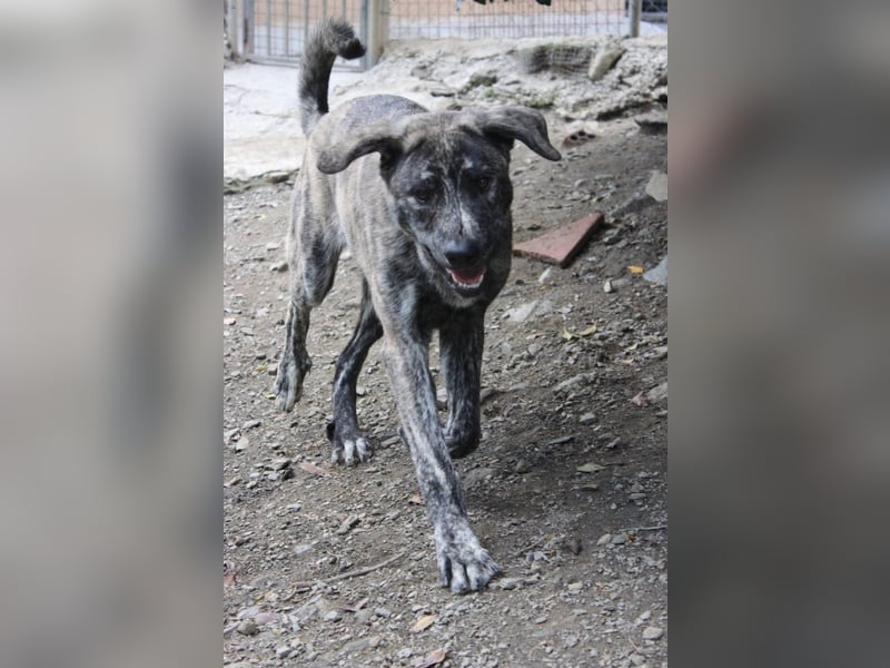 Chanel - das zarte Blümchen