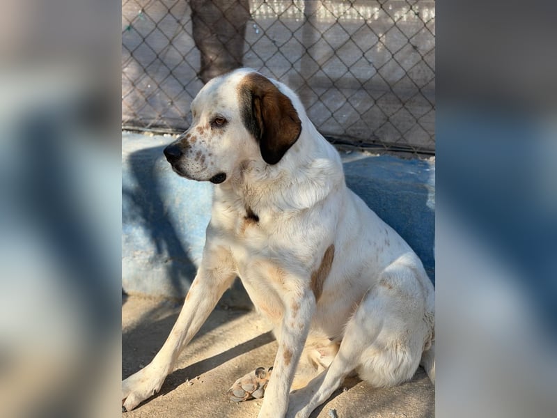 Maya, ein schüchternes großes Mädchen