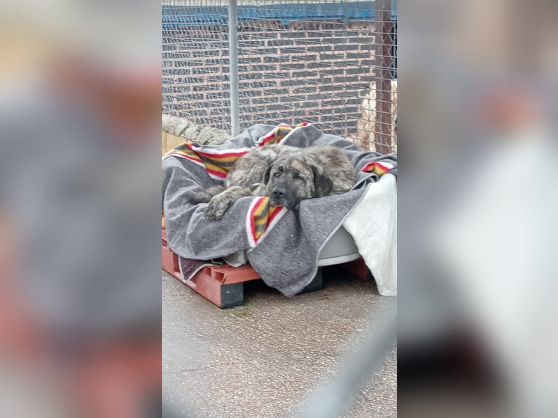 Ness, hofft dass er nochmal Glück hat