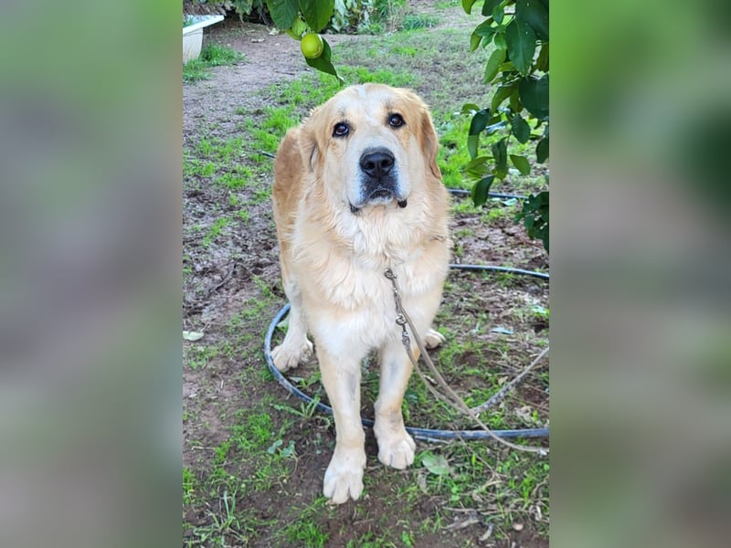 Leon, sucht ein ländliches Zuhause