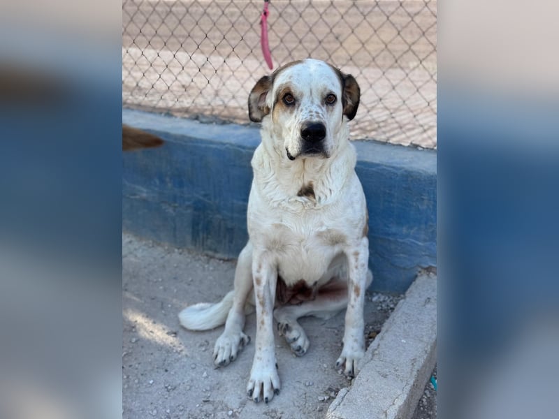 Maya, ein schüchternes großes Mädchen