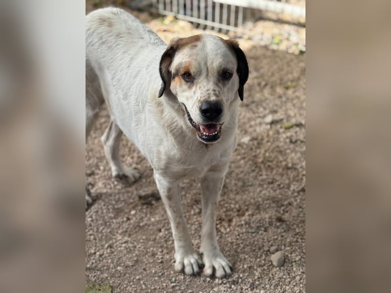 Maya, ein schüchternes großes Mädchen