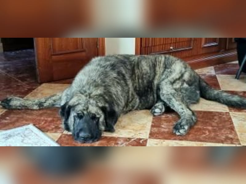 Ness, hofft dass er nochmal Glück hat