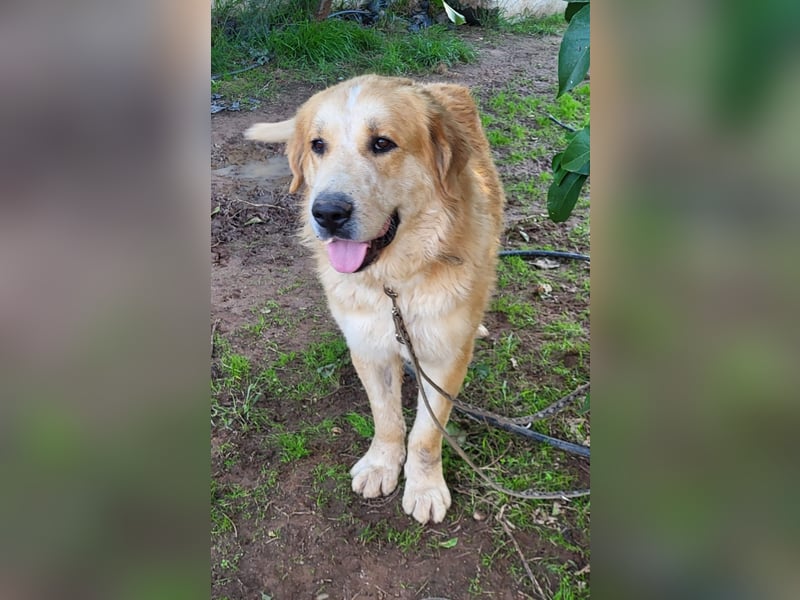 Leon, sucht ein ländliches Zuhause