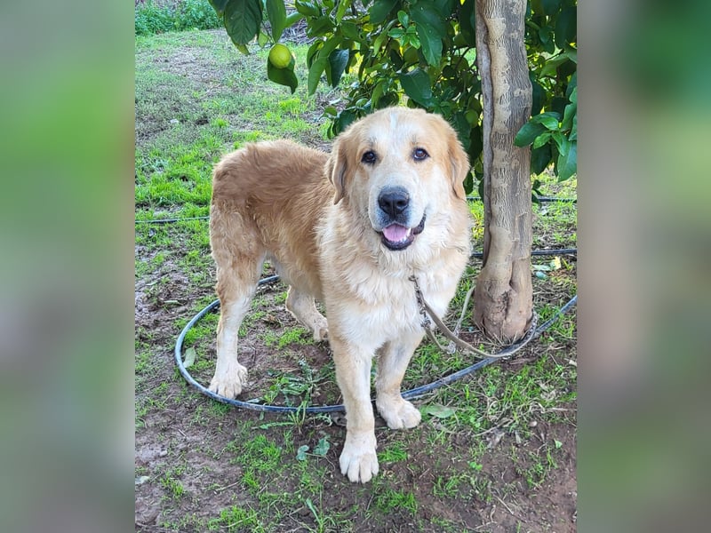 Leon, sucht ein ländliches Zuhause