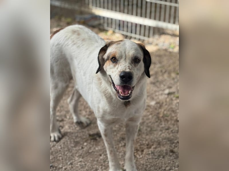 Maya, ein schüchternes großes Mädchen