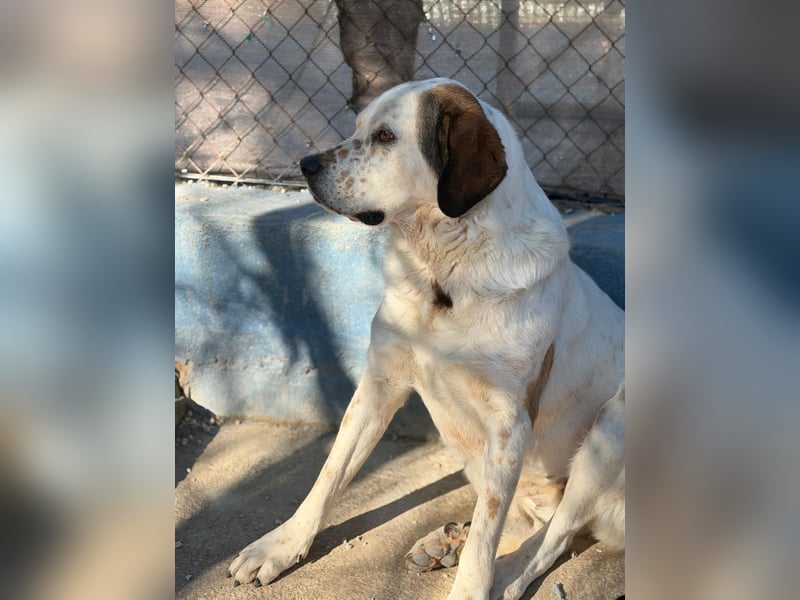 Maya, ein schüchternes großes Mädchen