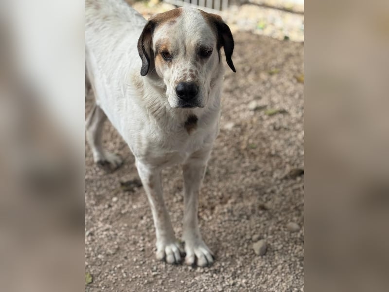 Maya, ein schüchternes großes Mädchen