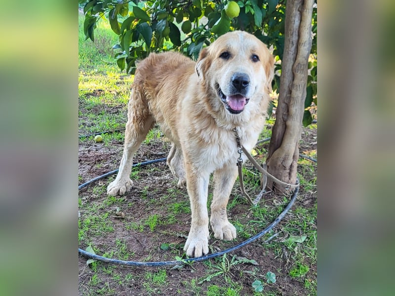 Leon, sucht ein ländliches Zuhause