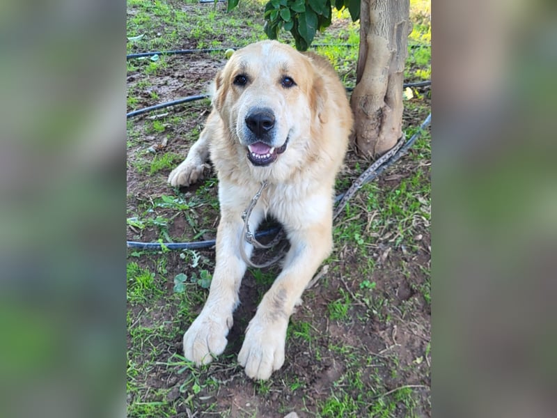 Leon, sucht ein ländliches Zuhause