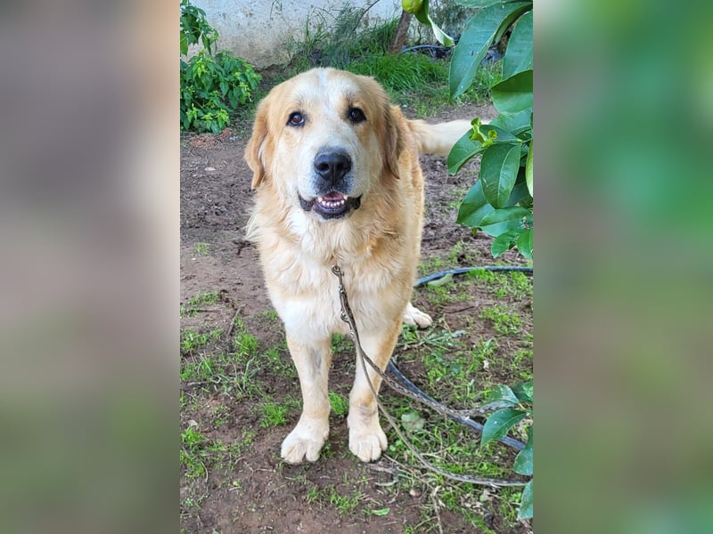 Leon, sucht ein ländliches Zuhause