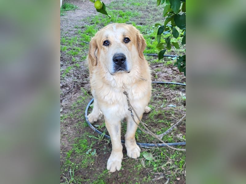 Leon, sucht ein ländliches Zuhause