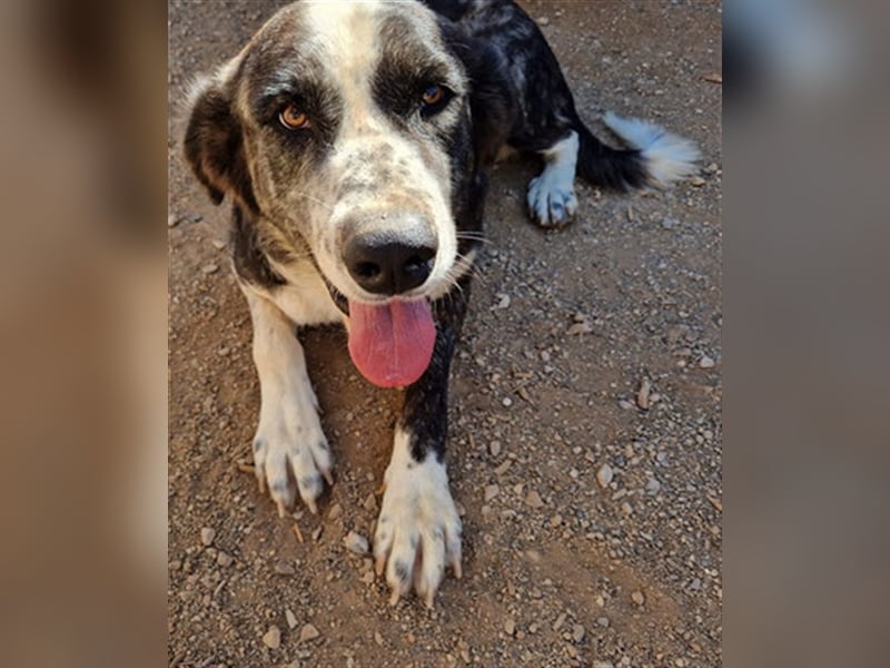 CAPITANA-entspannte Lady sucht Gleichgesinnte