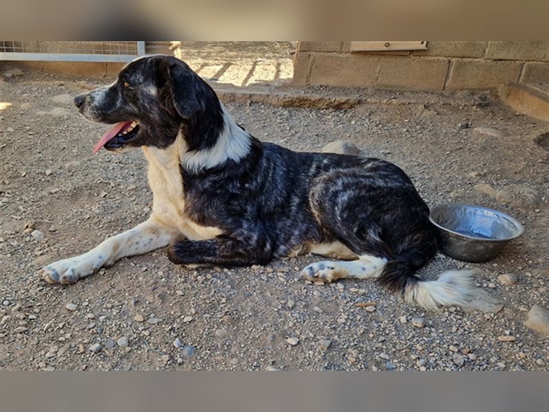 CAPITANA-entspannte Lady sucht Gleichgesinnte