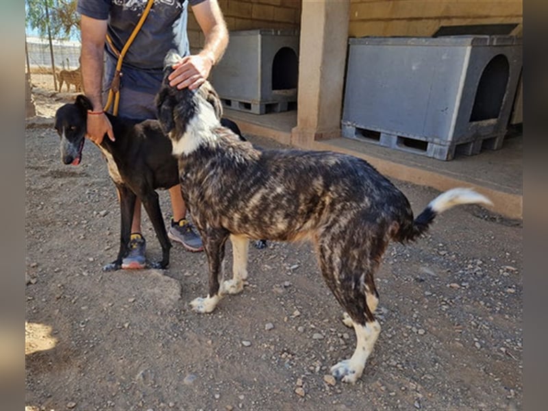 CAPITANA-entspannte Lady sucht Gleichgesinnte