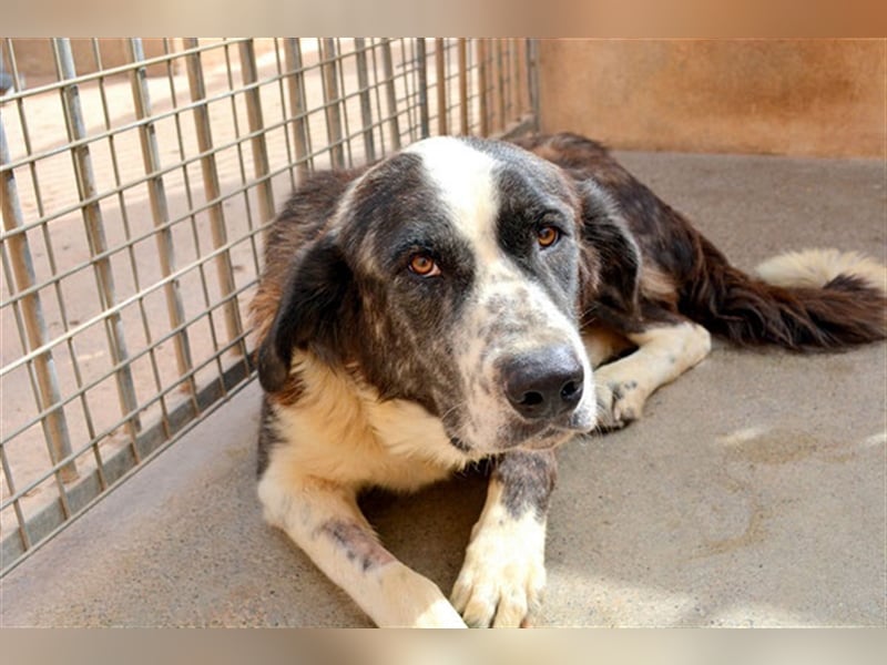 CAPITANA-entspannte Lady sucht Gleichgesinnte