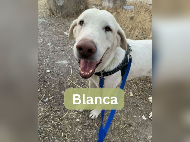 BLANCA