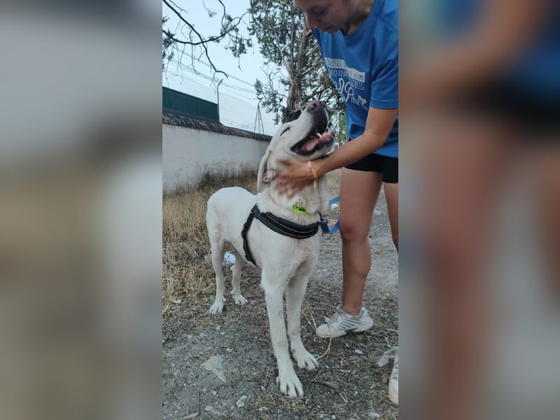 BLANCA