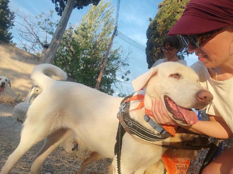 BLANCA