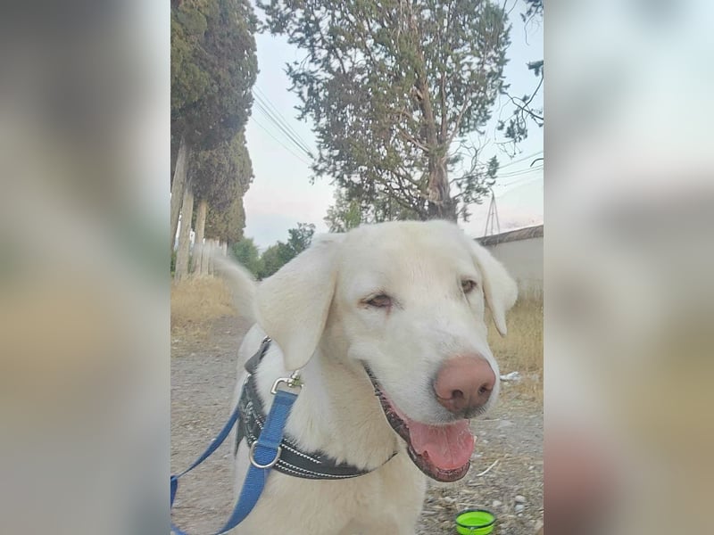 BLANCA