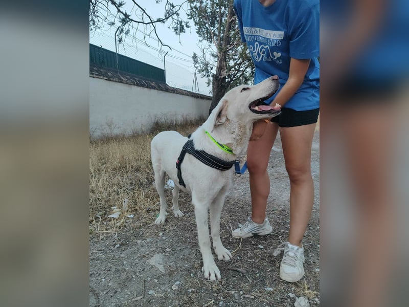 BLANCA
