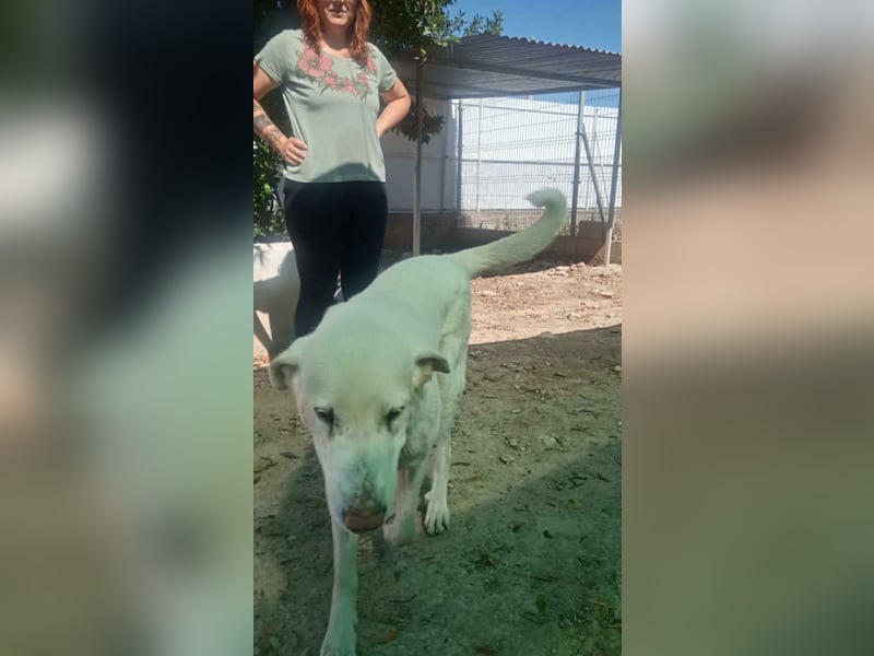 BLANCA