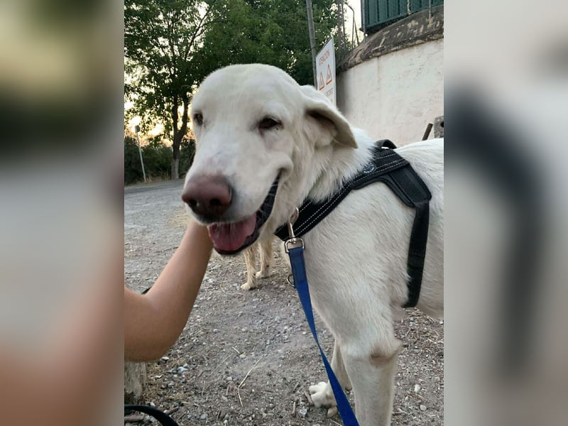 BLANCA