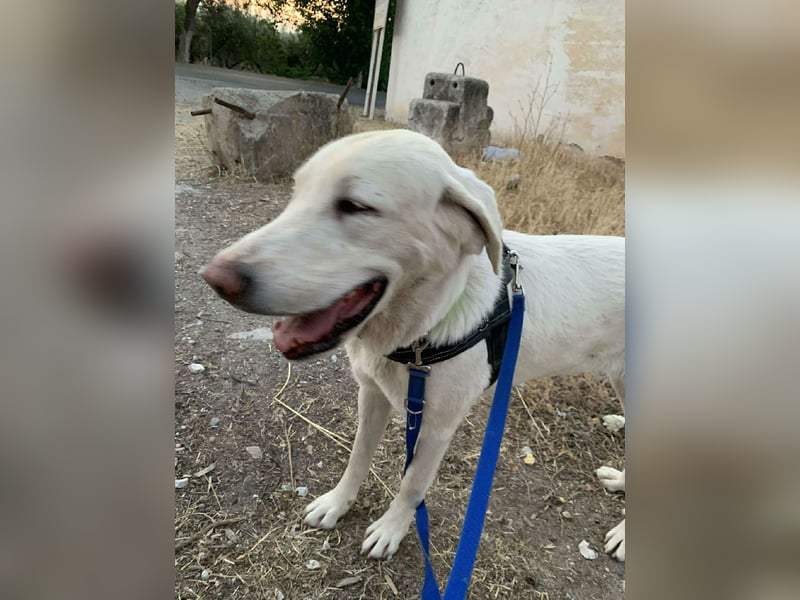 BLANCA
