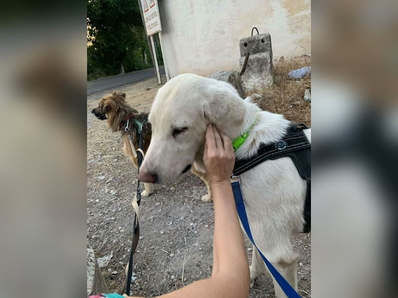 BLANCA