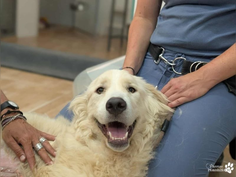 Helga ist sozial, freundlich und menschenbezogen