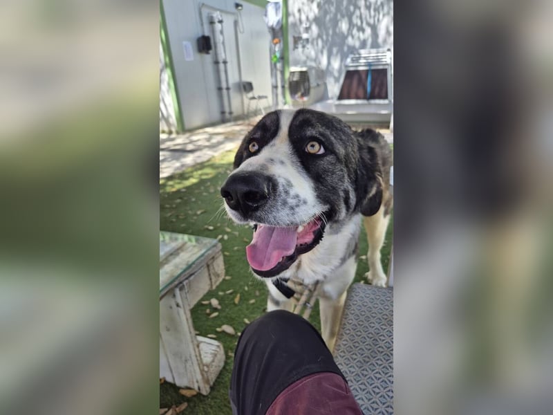 Nobu (Spanien) – der beste Partner, den man sich wünschen kann