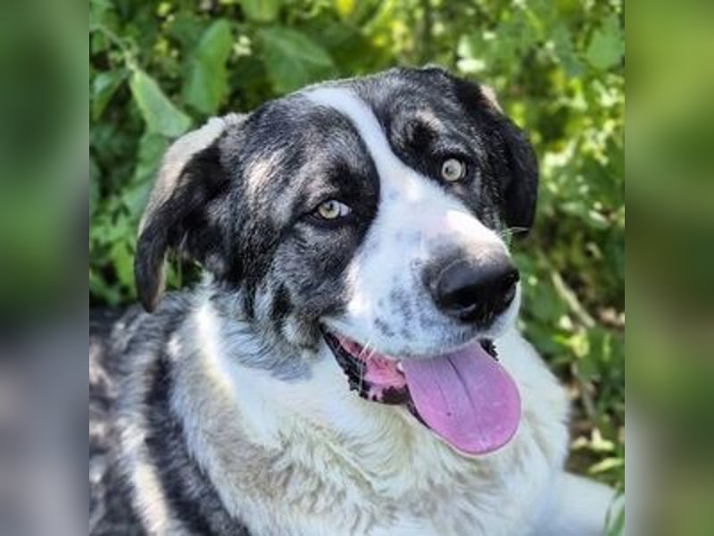 Nobu (Spanien) – der beste Partner, den man sich wünschen kann