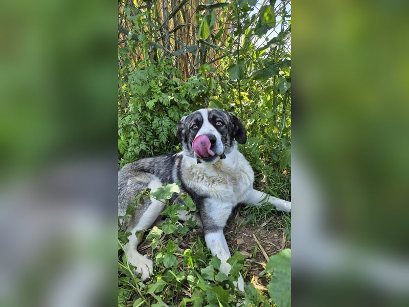 Nobu (Spanien) – der beste Partner, den man sich wünschen kann