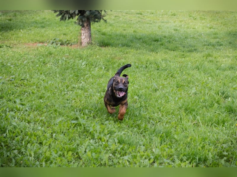 Ferdi – auch mit kleinen Beinen, flink unterwegs!