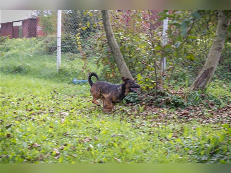 Ferdi – auch mit kleinen Beinen, flink unterwegs!