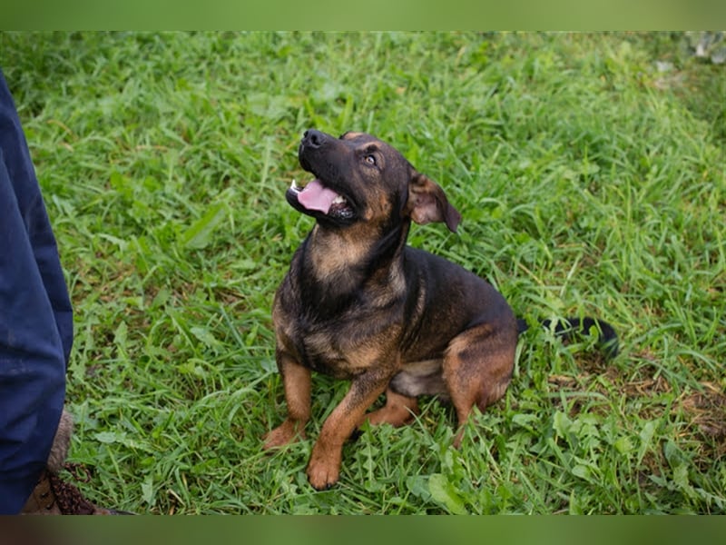 Ferdi – auch mit kleinen Beinen, flink unterwegs!