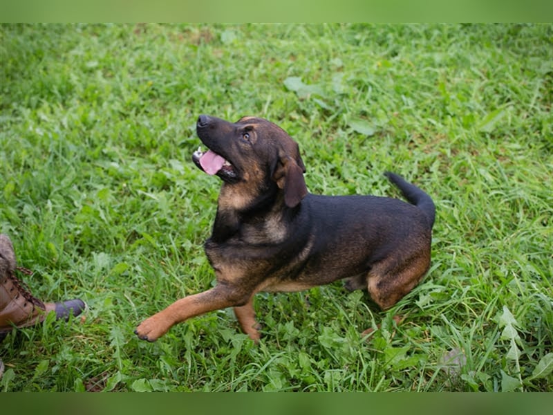 Ferdi – auch mit kleinen Beinen, flink unterwegs!