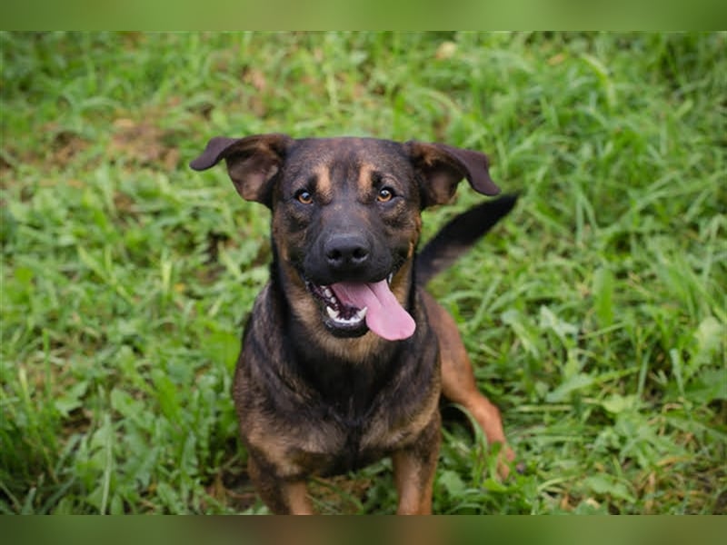 Ferdi – auch mit kleinen Beinen, flink unterwegs!