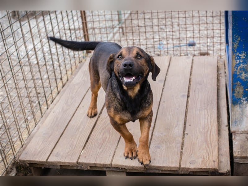 Ferdi – auch mit kleinen Beinen, flink unterwegs!