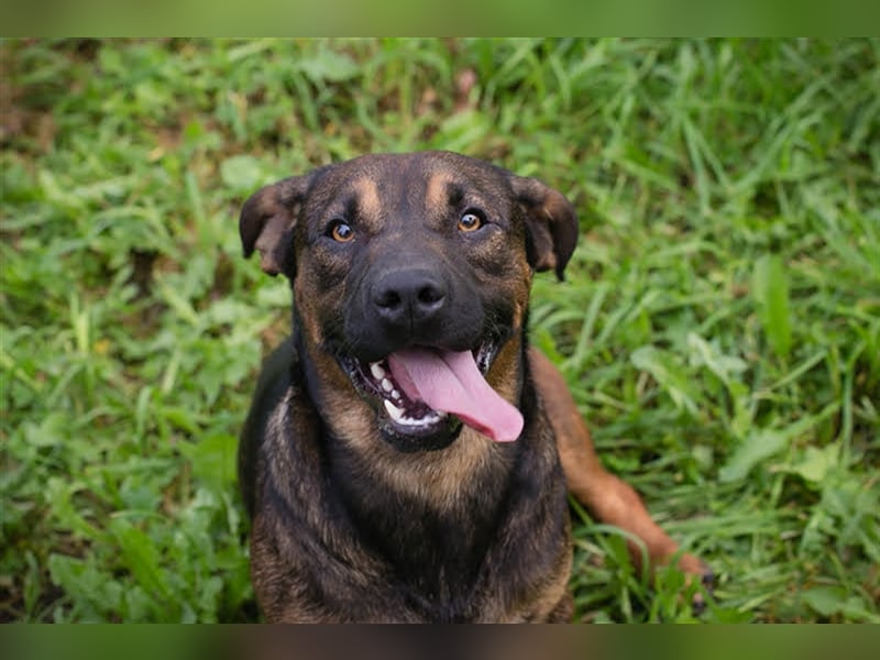 Ferdi – auch mit kleinen Beinen, flink unterwegs!