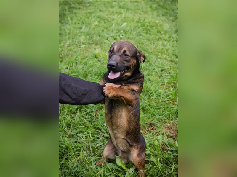 Ferdi – auch mit kleinen Beinen, flink unterwegs!