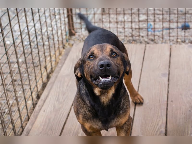 Ferdi – auch mit kleinen Beinen, flink unterwegs!